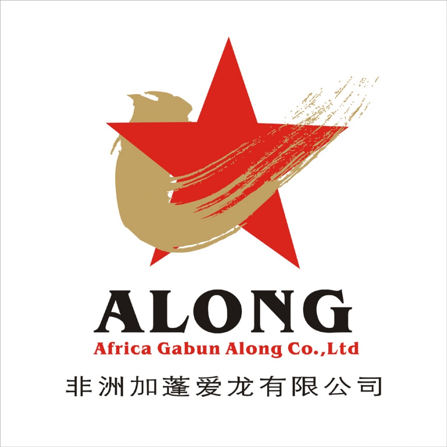 非洲加蓬爱龙责任有限公司标志设计.jpg